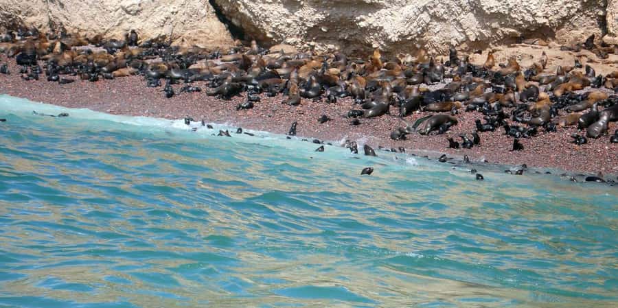 Lagos/Praia da Luz: Wine Tour, Tastings, Tapas, and Music - Timing, Pacing, and What to Bring