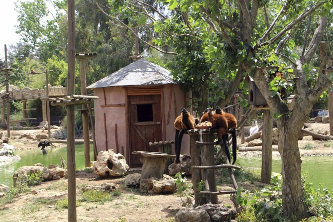Lagos Zoo Admission Ticket - Parque Zoológico de Lagos: How the Zoo’s Layout Shapes Your Walk