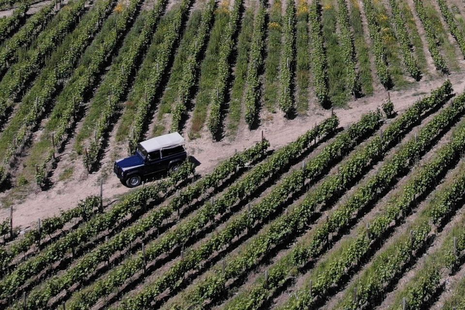 Lamego: Quinta da Portela de Baixo Winery Tour and Tasting - Key highlights worth planning around