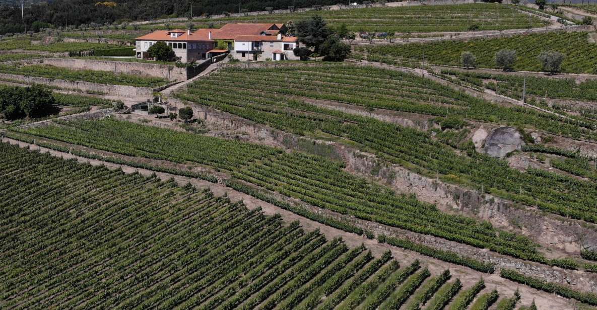 Lamego: Quinta da Portela de Baixo Winery Tour and Tasting - The tasting lineup: sparkling, port wines, and DOC Douro table wines