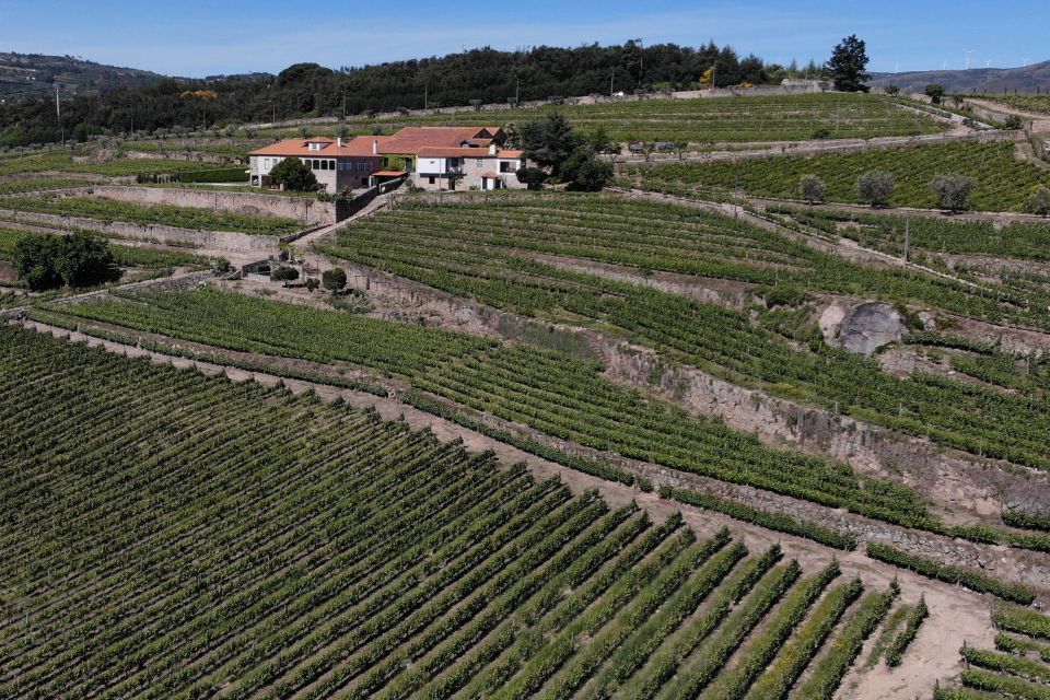 Lamego: Quinta da Portela de Baixo Winery Tour and Tasting - Snack pairings that make the tasting feel Portuguese