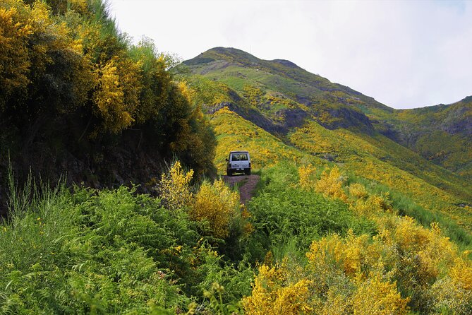 Let-Me-Surprise-You Private Full-Day Tour in All Terrain Vehicle - Off-road roads that feel like shortcuts, not a stunt
