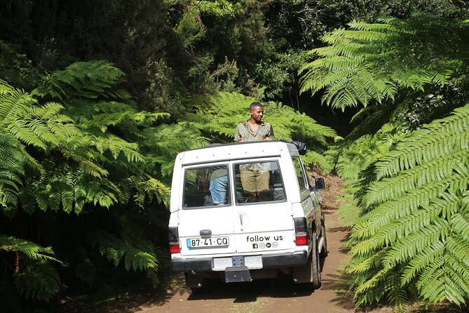 Let-Me-Surprise-You Private Full-Day Tour in All Terrain Vehicle - Vineyards, sugar cane, and the farming Madeira that many miss
