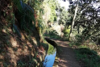 Levada da Referta - Castelejo - How the Guided Format Actually Helps (Not Just a Walk)