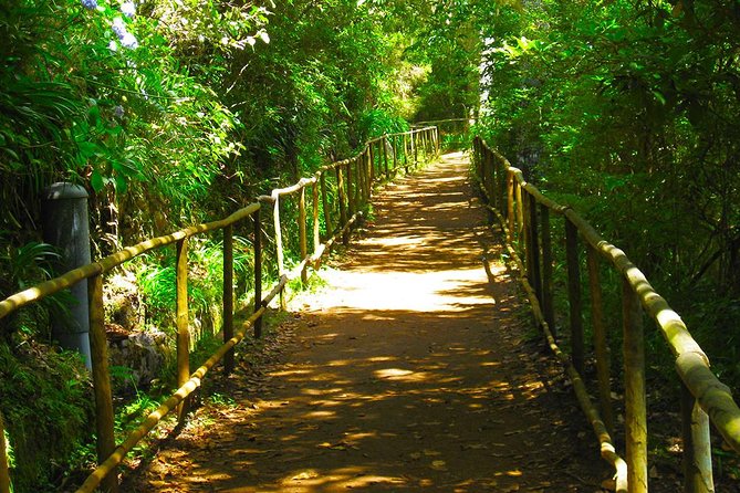 Levada do Caldeirão Verde Levada Walk from Funchal - Entering The Levada: why this walk feels special