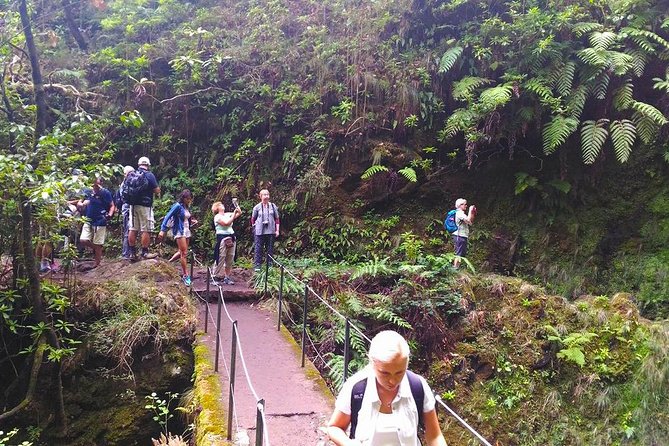 Levada do Caldeirão Verde Levada Walk from Funchal - Tunnels and flashlights: the part you must not forget