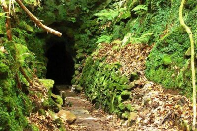 Levada do Caldeirão Verde Levada Walk from Funchal - Caldeirão Verde waterfall: the picnic moment that makes it click