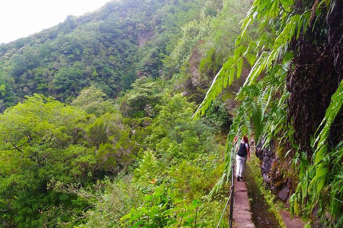 Levada do Caldeirão Verde Levada Walk from Funchal - Price and value: what about $51.66 buys you
