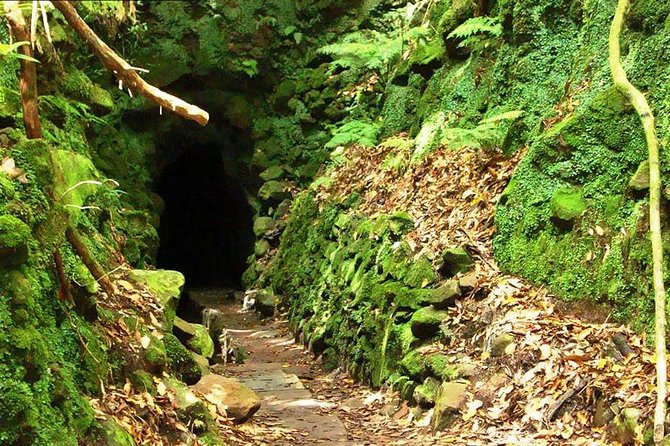 Levada do Caldeirão Verde Levada Walk from Funchal - Caldeirão Verde waterfall: the picnic moment that makes it click