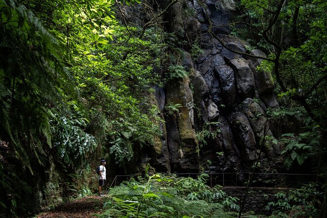 Levada do Caldeirão Verde Self-Guided Hike in Madeira - Key highlights at a glance