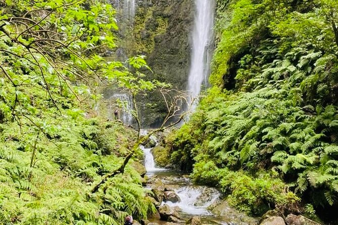 Levada do Caldeirão Verde Self-Guided Hike in Madeira - Entering the Laurissilva forest: levadas, tunnels, and the waterfall payoff