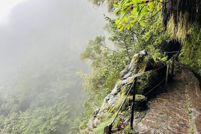 Levada do Caldeirão Verde Self-Guided Hike in Madeira - Trail conditions: what to expect on rough ground and narrow paths