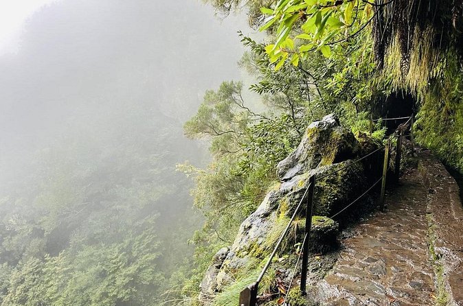 Levada do Caldeirão Verde Self-Guided Hike in Madeira - Price and value: is $48.27 worth it for this day?