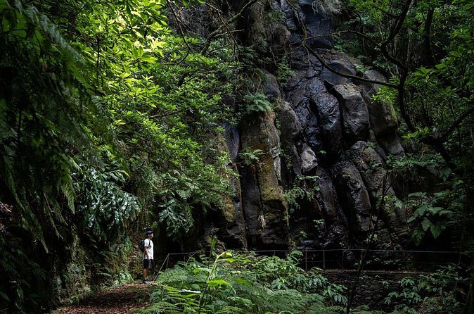 Levada do Caldeirão Verde Self-Guided Hike in Madeira - Who this hike suits best in Madeira