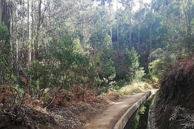 Levada Serra D´Agua - Key Things I’d Book This For