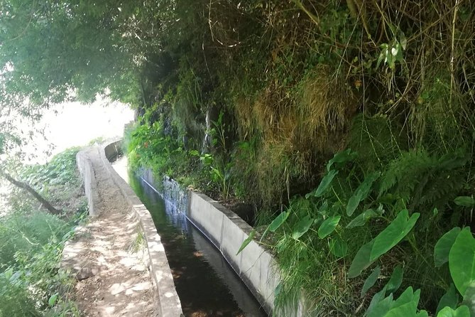 Levada Serra D´Agua - The First Stretch: Coastal Views, Agriculture Fields, and Easy Momentum