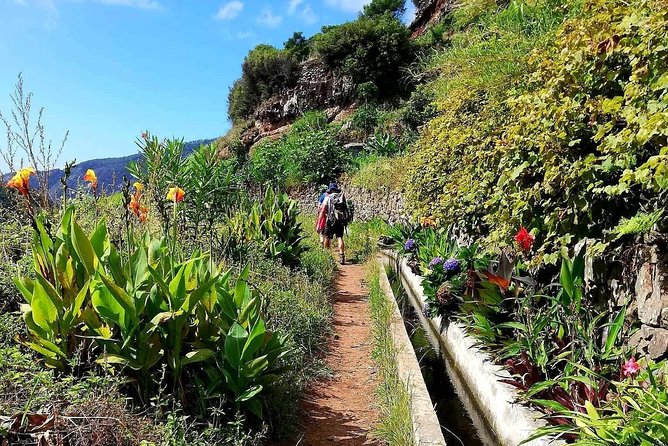 Levada Serra D´Agua - Into the Eucalyptus Forest: Why Guidance Matters Here