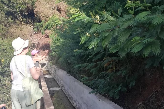 Levada Serra D´Agua - Small-Group Energy: How the Guide Changes the Whole Walk