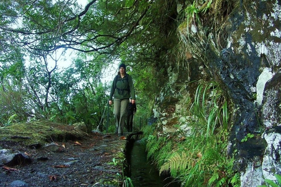Levada Walk and Caldeirao Verde Waterfalls: Madeira - Key things I’d watch for