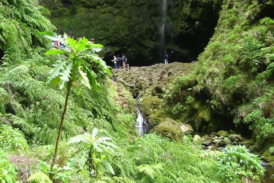Levada Walk and Caldeirao Verde Waterfalls: Madeira - From Funchal pickup to Queimadas Forest Park: getting onto the right trail