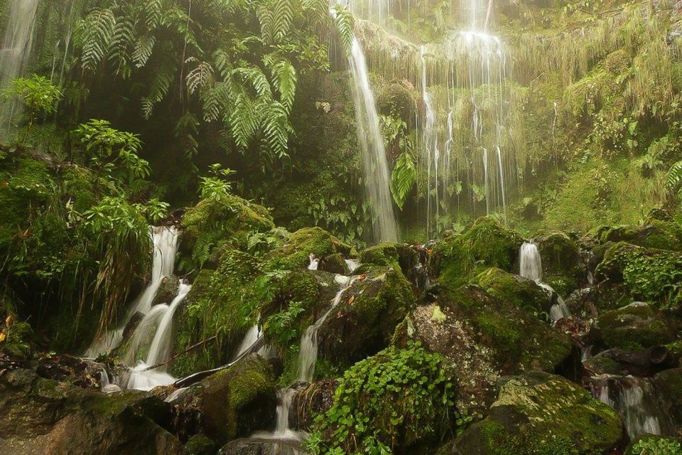 Levada Walk and Caldeirao Verde Waterfalls: Madeira - The tunnels and the narrow path: what to do if you don’t love exposed trails