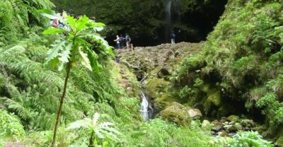 Levada Walk and Caldeirao Verde Waterfalls: Madeira - Inside a Madeira levada walk: stone paths, forest talk, and real views