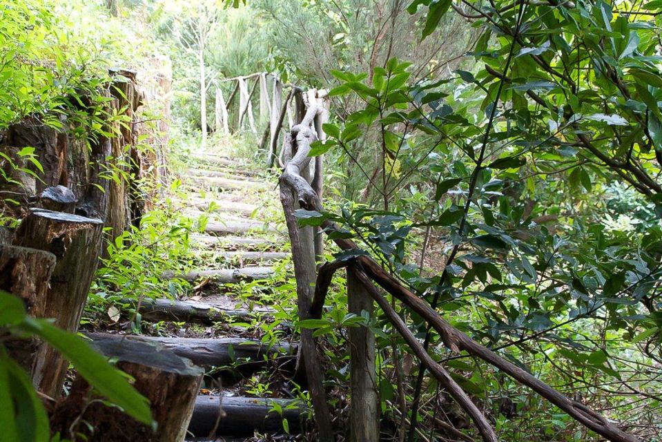 Levada Walk and Caldeirao Verde Waterfalls: Madeira - Price and extra fees: is $46 good value for this kind of Madeira day?