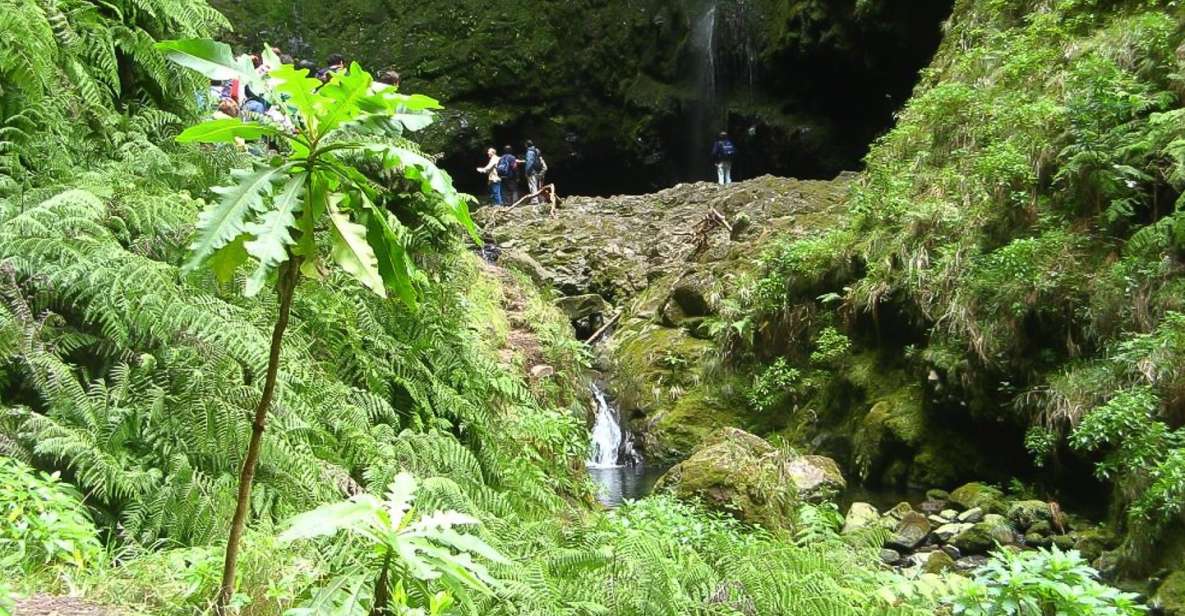 Levada Walk and Caldeirao Verde Waterfalls: Madeira - Inside a Madeira levada walk: stone paths, forest talk, and real views