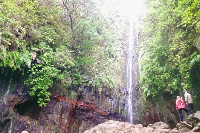 Levada & Waterfalls Hike 25 Fountains, Rabaçal, Risco more Challenging Walk - Should you book this walk to Lagoa do Vento and Levada do Alecrim?