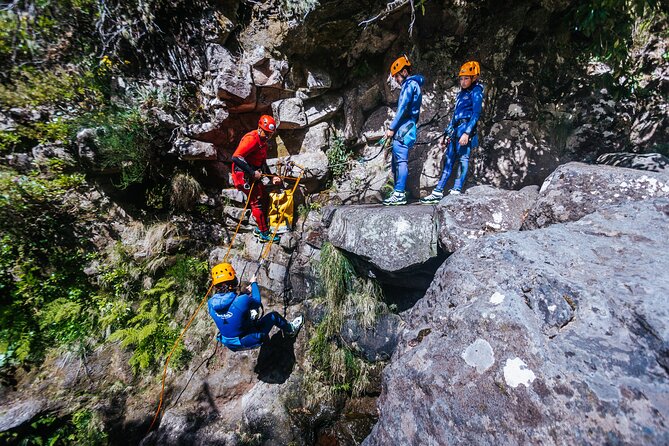 Level 1 - Canyoning For All - Beginner | Funchal - Madeira Canyoning for Beginners: Seven Waterfalls and a Jump-Ready Pool