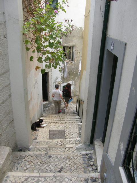 Lisbon: Alfama and São Jorge Castle Quarters Walking Tour - The Roman Cetária stop: evidence you can almost touch