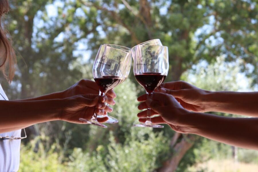 Lisbon: Arrábida and Sesimbra Day Trip with Wine - Key highlights worth planning for