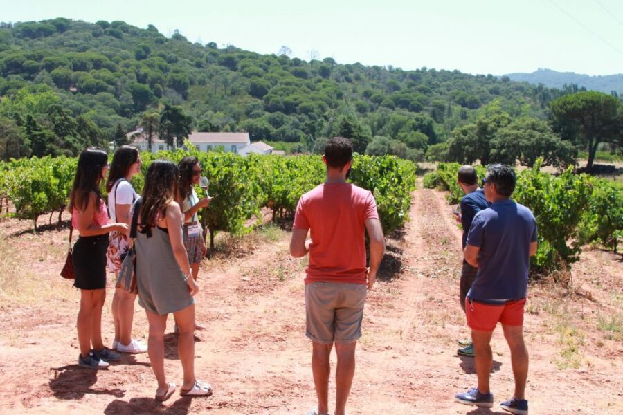 Lisbon: Arrábida and Sesimbra Day Trip with Wine - Arrábida Natural Park drive: Portinho Arrábida and cool Atlantic air