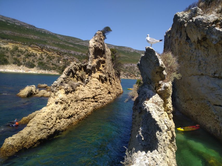 Lisbon: Arrábida Kayak and Coasteering Adventure Tour - Coasteering energy: exploring sea caves and choosing your cliff jump