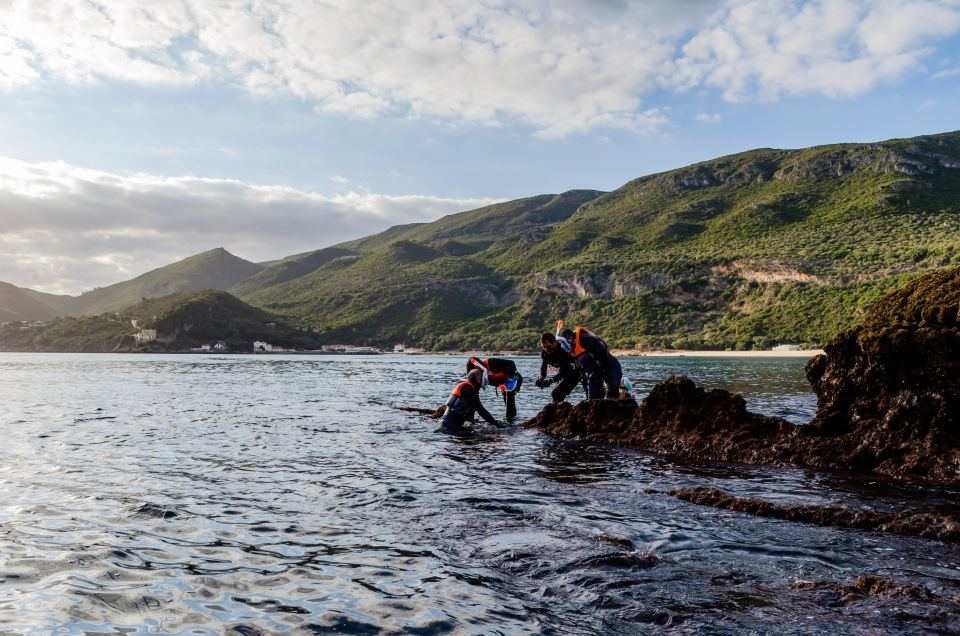 Lisbon: Arrábida Kayak and Coasteering Adventure Tour - Picnic lunch on the beach: food that resets your energy