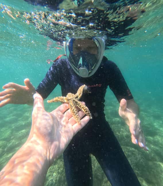 Lisbon: Arrábida Kayak & Wild Beach Snorkeling Pickup Option - Price and value: why $64 feels fair for a full half-day-to-day