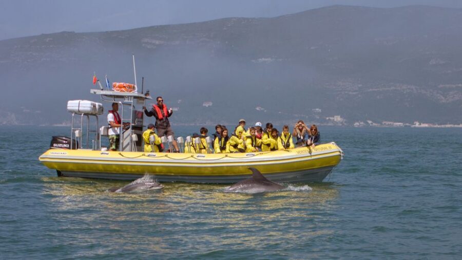 Lisbon: Arrábida Natural Park Dolphin Watching Boat Tour - Key highlights worth planning for
