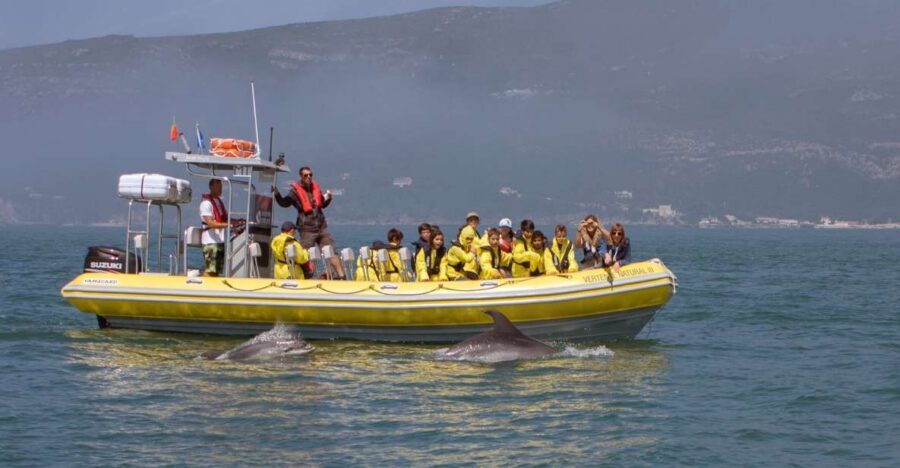 Lisbon: Arrábida Natural Park Dolphin Watching Boat Tour - On the water: how dolphin pods are found along the Arrábida coastline