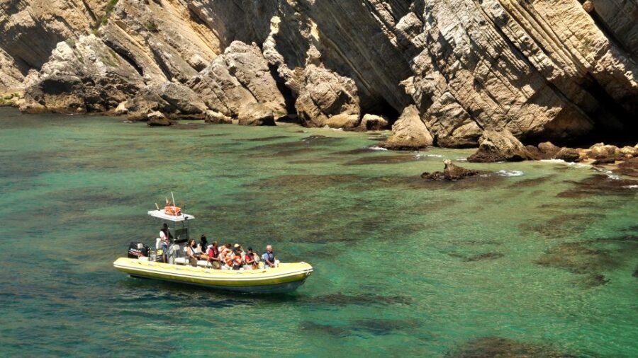 Lisbon: Arrábida Natural Park Dolphin Watching Boat Tour - Coastal stops, caves, and the regional pastry break