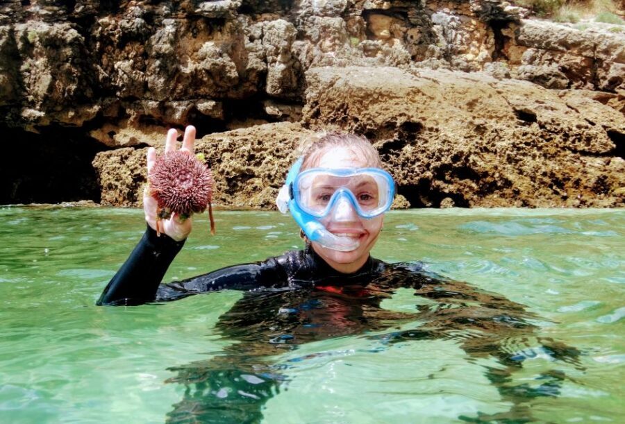 Lisbon: Arrábida Snorkeling Adventure - Key Highlights You’ll Feel (Not Just See)