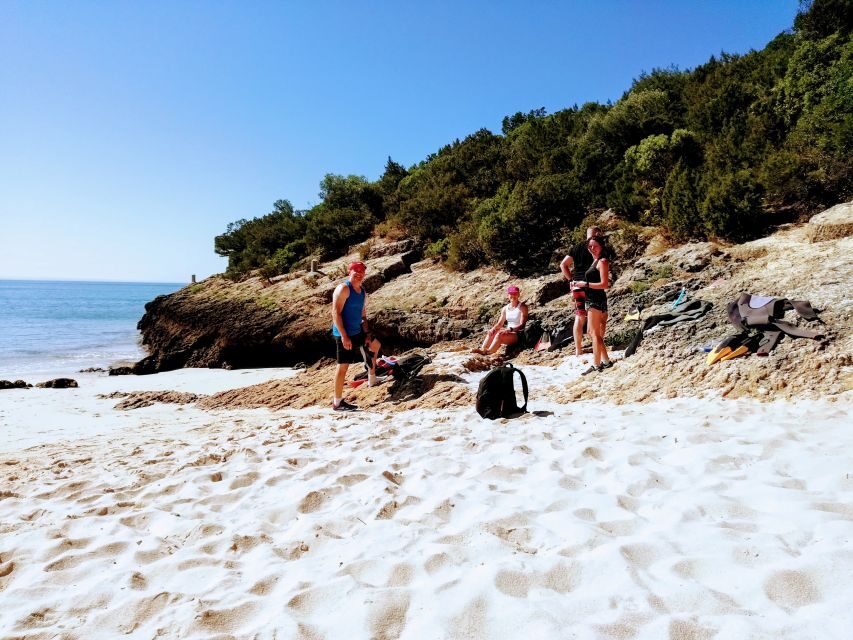 Lisbon: Arrábida Snorkeling Adventure - Why Arrábida Snorkeling Beats a Standard Lisbon Day Trip
