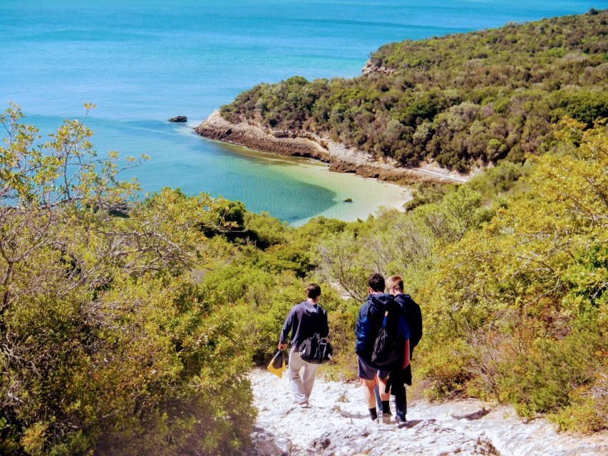 Lisbon: Arrábida Snorkeling Adventure - The 5-Hour Rhythm: Snorkel Time Plus a Mountain Walk