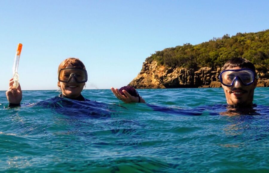 Lisbon: Arrábida Snorkeling Adventure - Fossil Cliffs and Coastal Viewpoints in Arrábida