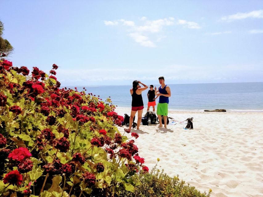 Lisbon: Arrábida Snorkeling Adventure - What to Bring (So the Day Feels Easy)