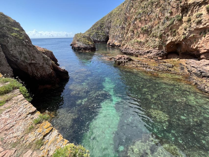 Lisbon: Berlenga Islands, Peniche & Óbidos Tour - Key Highlights You’ll Actually Feel