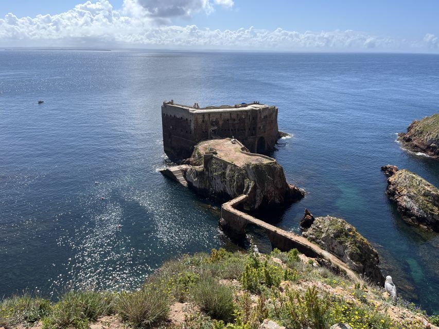 Lisbon: Berlenga Islands, Peniche & Óbidos Tour - Price and Value: What $507 Gets You (and What It Doesn’t)
