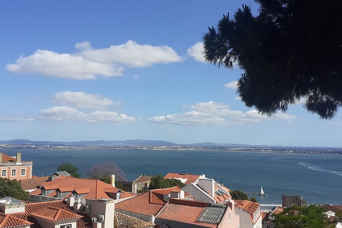 Lisbon by Heart Private Walking Tour - Guide Quality: Why Filipa and Ricardo’s Styles Worked So Well