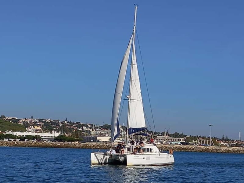 Lisbon: Catamaran Cruise with Drinks & Pastel de Nata - Getting there and boarding without stress