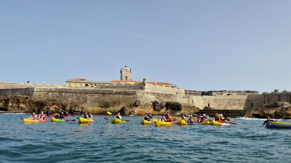 Lisbon: Coast Guided Kayak Tour - Key Highlights You’ll Feel Right Away