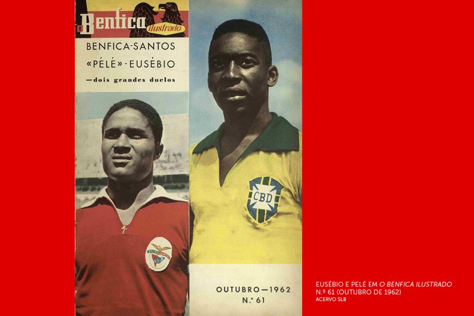 Lisbon: Customized Luz Stadium and Guided Museum Tour - Who this tour suits best (and who should think twice)